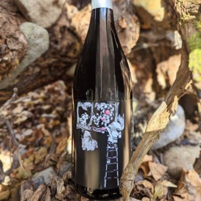 ALL NIGHT 2021【Kifutato Wines】