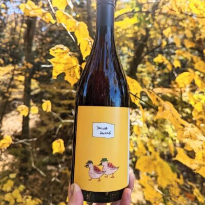 youisa hoisa 2021【Kifutato Wines】