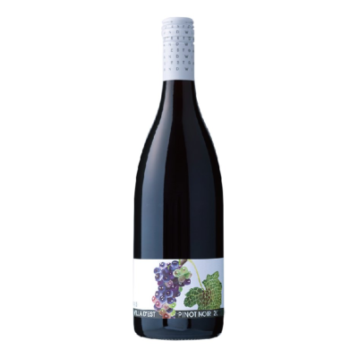 ピノ・ノワール 2020【ヴィラデストワイナリー】