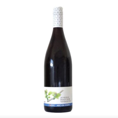 ジュベニール ピノ・ノワール 2022【アルカンヴィーニュ】