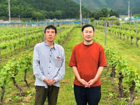 【委託醸造者紹介】佐藤果樹園@長野県～国内コンクール受賞歴のある高品質葡萄を生産